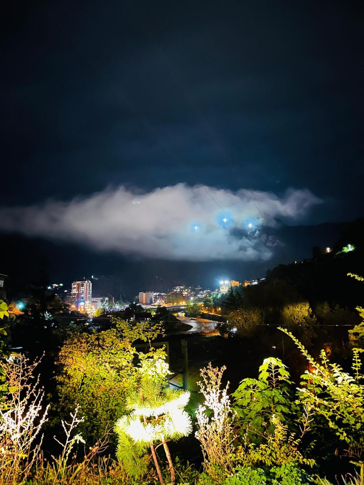 Woodland Borjomi Hotel Exterior photo