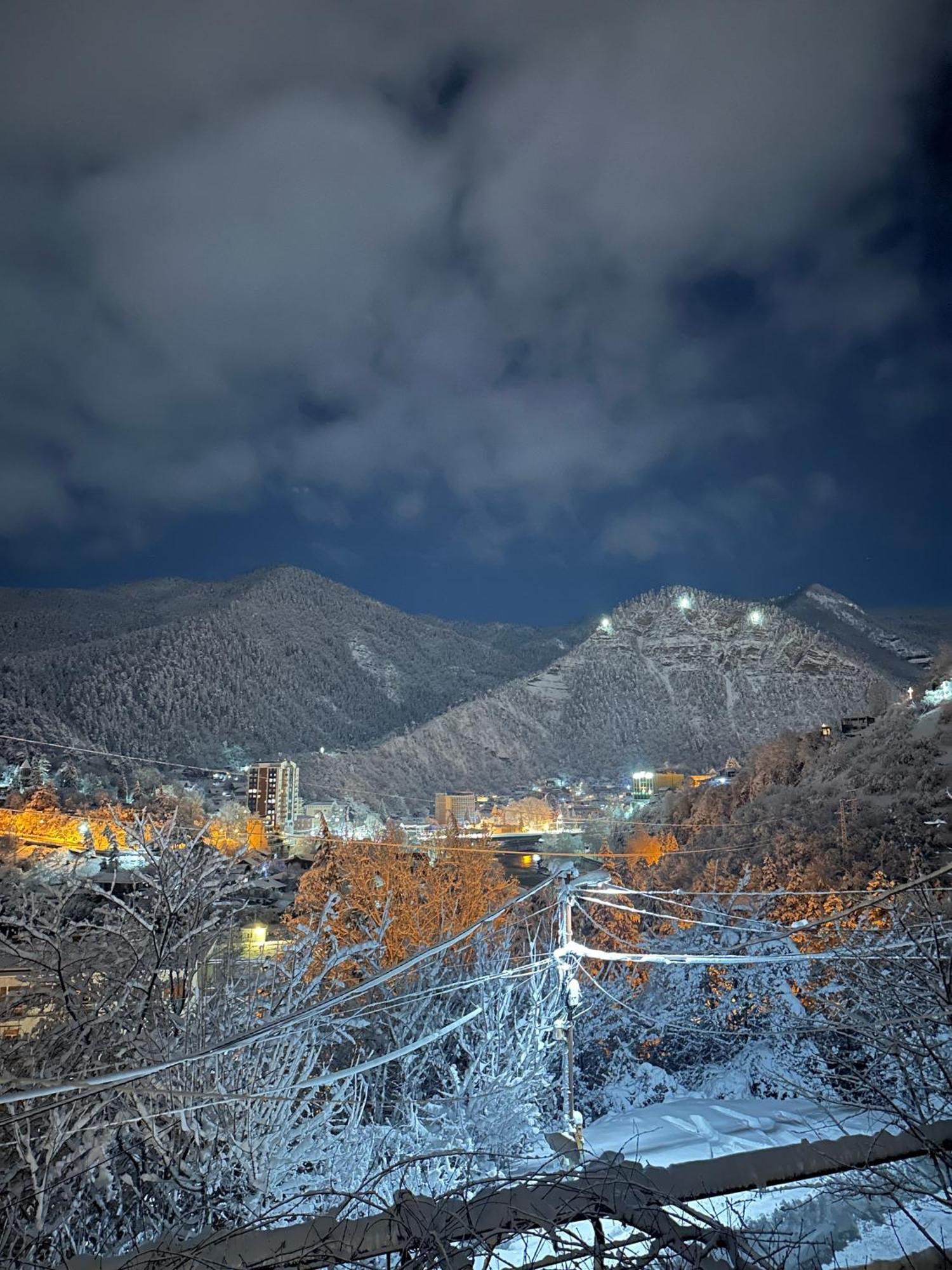 Woodland Borjomi Hotel Exterior photo